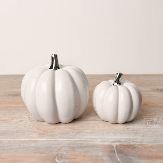 White Pumpkin with Silver Stalk